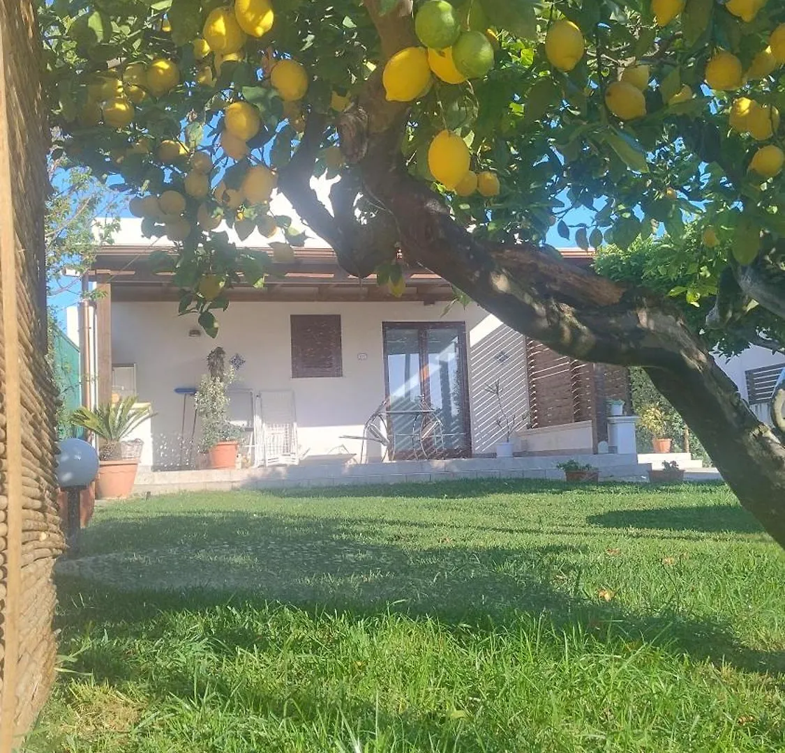 Brezza Di Stagnone Apartment Birgi Vecchi
